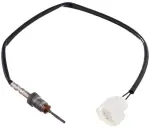 Ft Oxygen Sensor