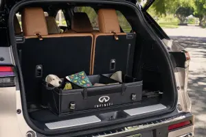 Cargo Organizer