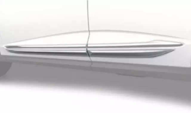 Body Side Molding - Lunar Silver Metallic