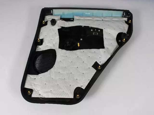 Rear Door Trim Panel, Left