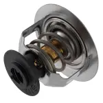 Motorcraft™ Thermostat