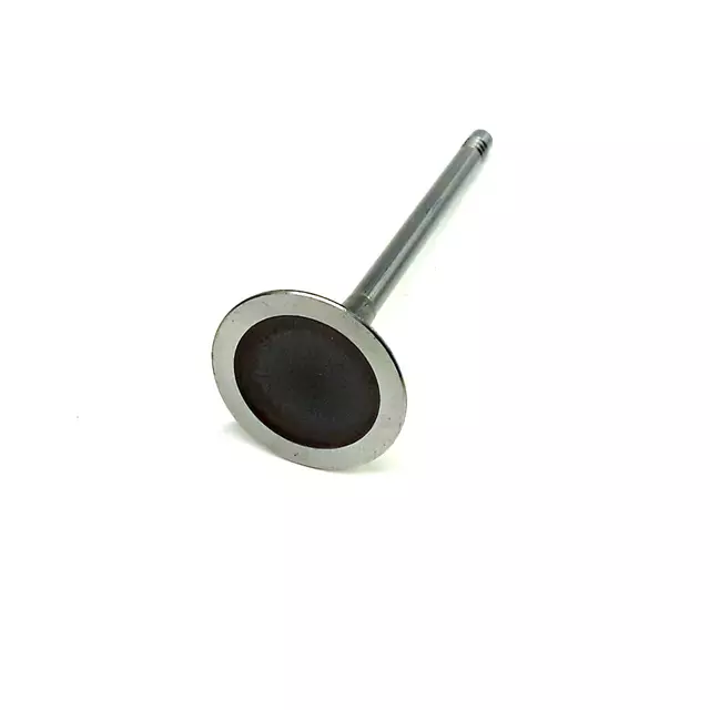 2005-2018 Audi - Intake Valve