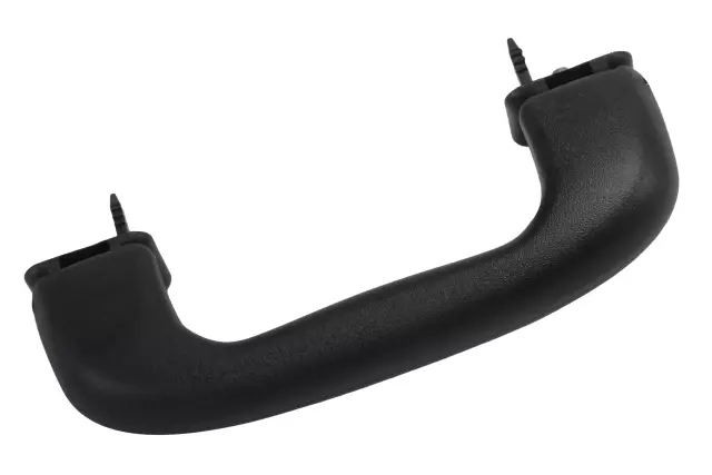 Jet Black Roof Rail Assist Handle