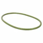 Motorcraft™ Fuel Pump Tank Seal