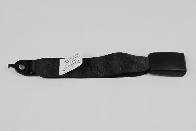 Rear Inner Seat Belt