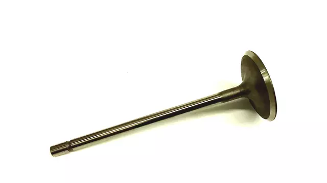 Intake Valve