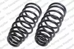 Lesjofors Coil Spring Set