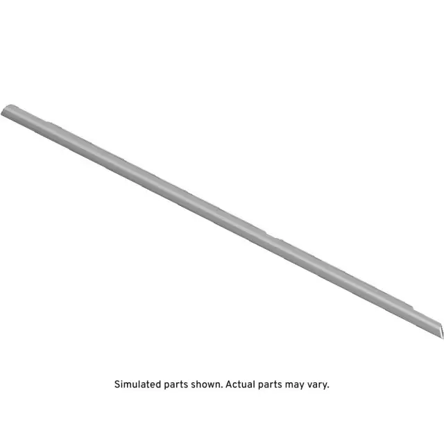 Rear Driver Side Door Window Belt Reveal Molding