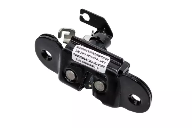 OEM NEW 2003-09 GM Cadillac Chevrolet Rear Tailgate Lift Gate Door Lock 15926026