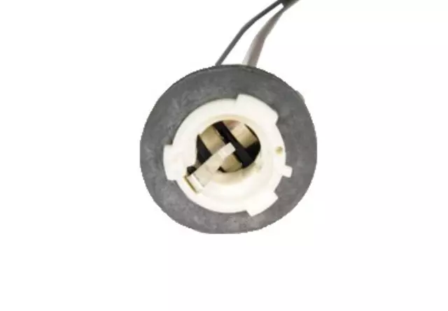 Multi-Purpose Lamp Socket