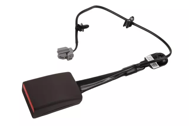 Cocoa Driver Seat Belt Buckle