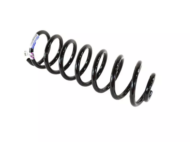 Rear Coil Spring, Right Rear