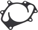Water Pump Gasket