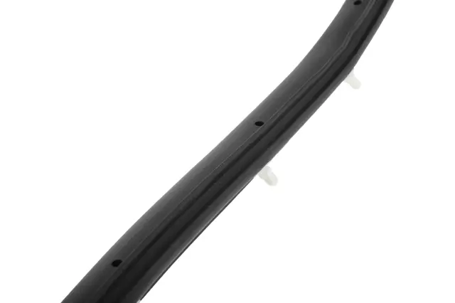 Rear Driver Side Door Weatherstrip