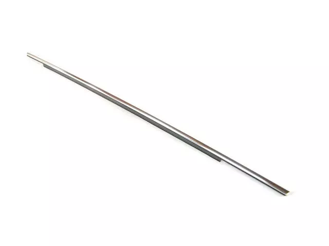 Door Belt Outer Weatherstrip, Right