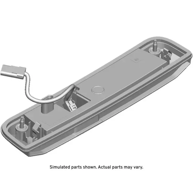 License Lmp Assembly