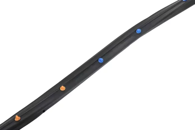 Passenger Side Rear Door Weatherstrip