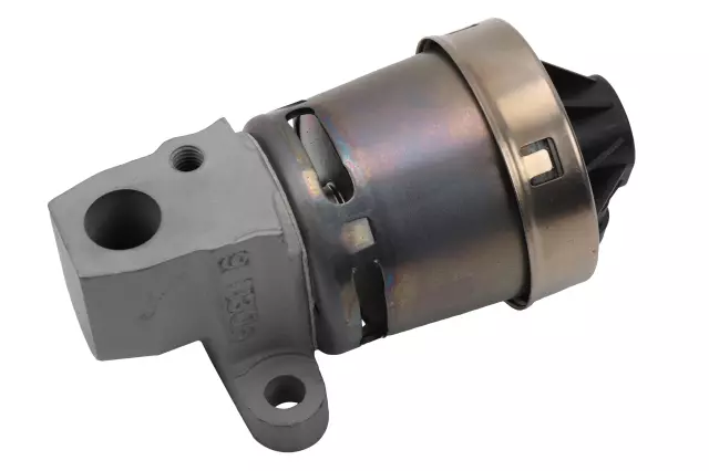 Exhaust Gas Recirculation (EGR) Valve