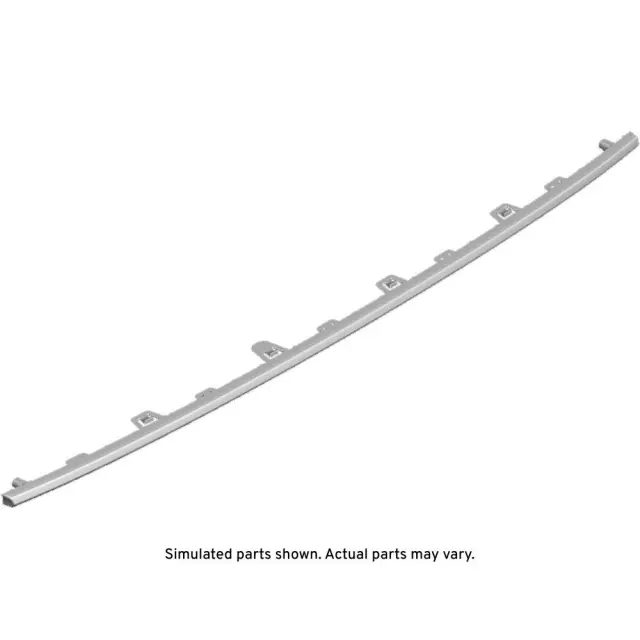 Rear Bumper Fascia Molding