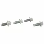 Carrier Assembly Screw
