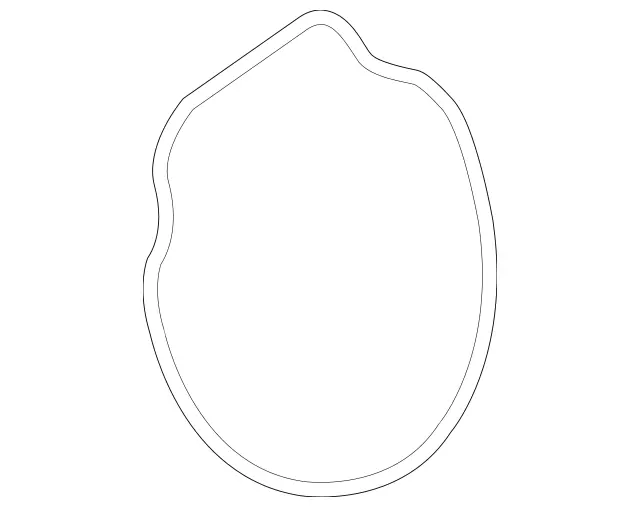 Elastomeric Molded Seal