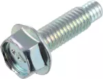 Oil Cooler Assembly Bolt