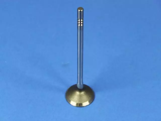 Engine Exhaust Valve