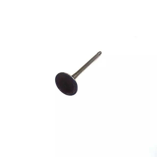 Intake Valve