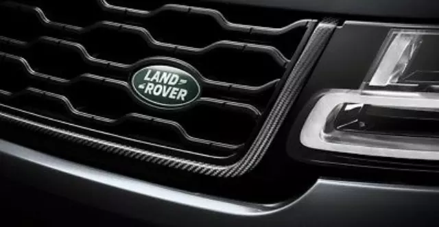 Front Grille Surround - Carbon Fibre - Svr