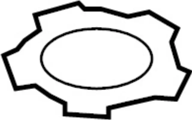 Fuel Sender Unit Lock Ring