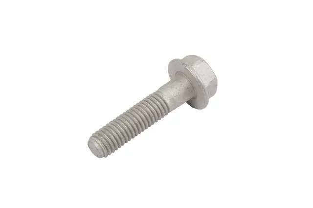 Hinge Bolt