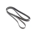 Serpentine Belt