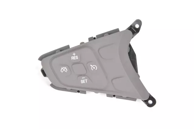 Dark Atmosphere Cruise Control Switch