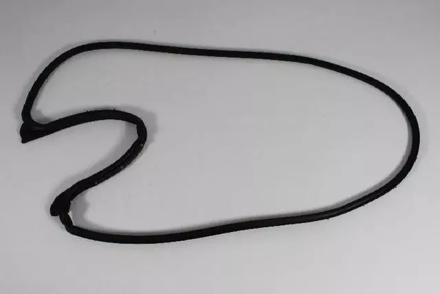 Rear Door Mounted Weatherstrip, Left