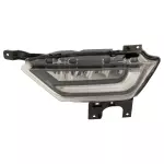 Fog Lamp Assembly