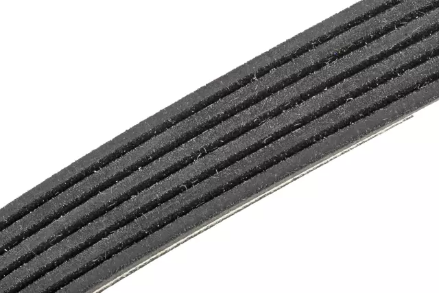 Serpentine Belt