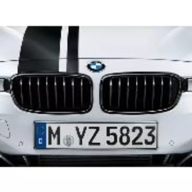 M Performance Black Kidney Grille - Right