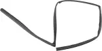 FRONT DOOR GLASS RUN RUBBER / WEATHERSTRIP (LH) (R52 PATHFINDER)