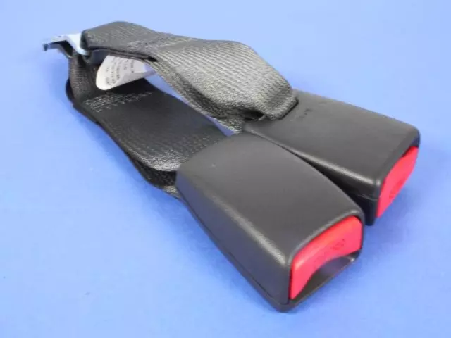 Rear Inner Seat Belt