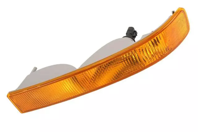 Driver Side Parking and Turn Signal Lamp