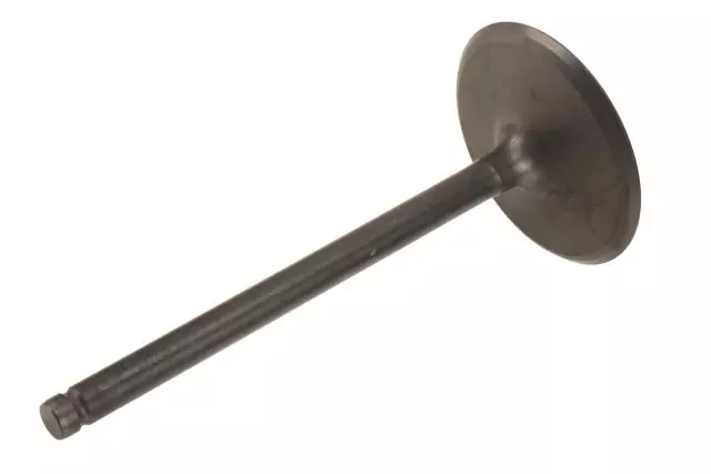 Intake Valve