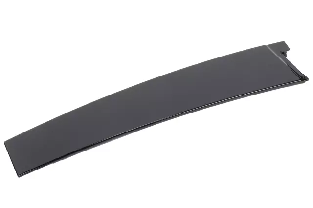 Rear Driver Side Door Window Frame Front Applique