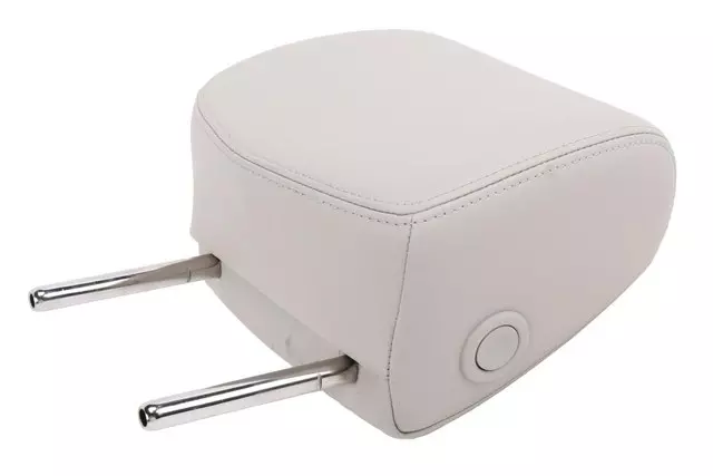 Light Titanium Front Seat Head Restraint
