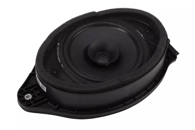 Radio Front Side Door Speaker