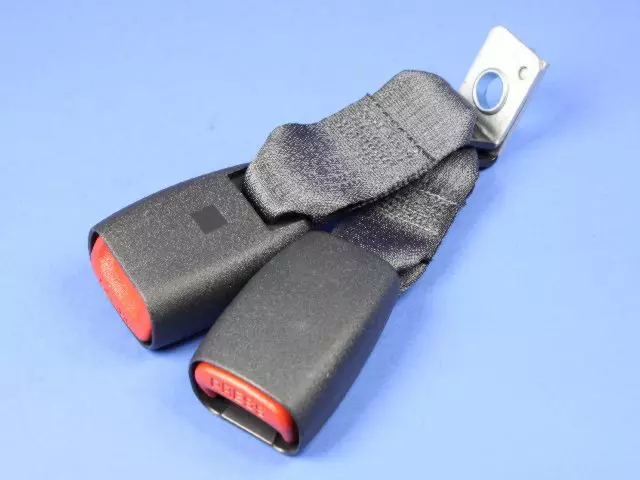 Two Buckles Seat Belt