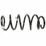 2011-2015 Ford - Coil Spring
