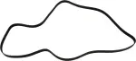 Serpentine Belt