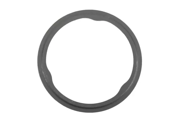 Catalytic Converter Seal