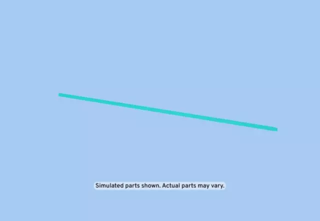 Black Passenger Side Front Door Center Molding