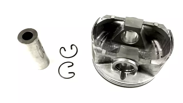 Piston & Pin Assembly